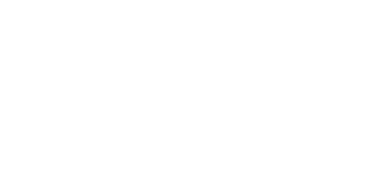 Activity highlights and experiences