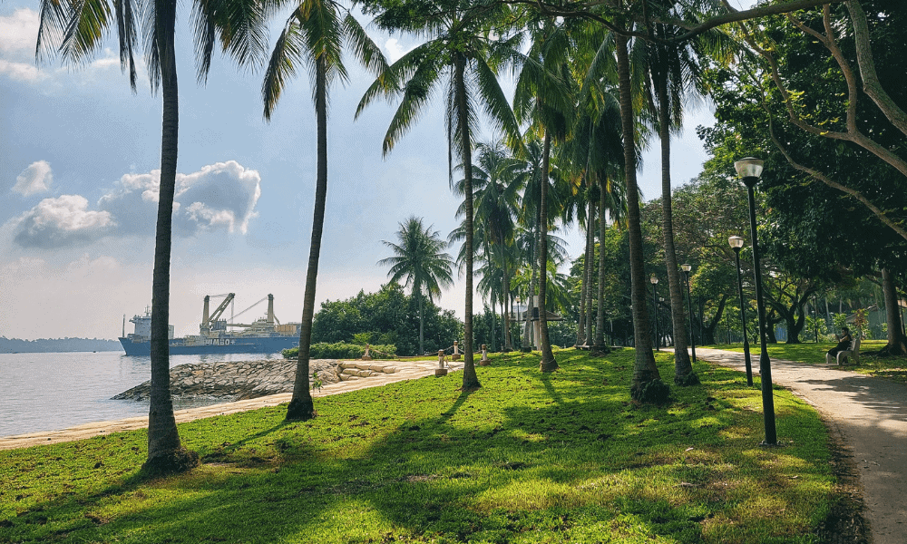 parcs-a-singapour-pasir-ris-park