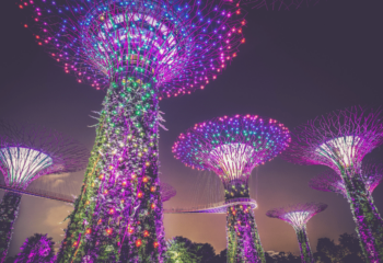 gardens-by-the-bay-things-to-do-in-singapore