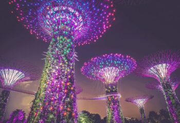 top-10-choses-a-faire-a-singapour