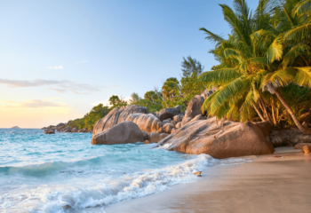 best-things-to-do-in-seychelles-beach-and-waves